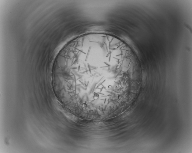 X0000099321435200805161350