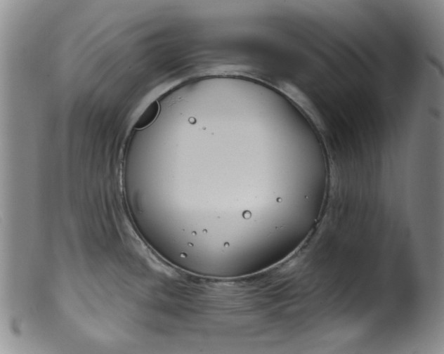 X0000099321436200805161350