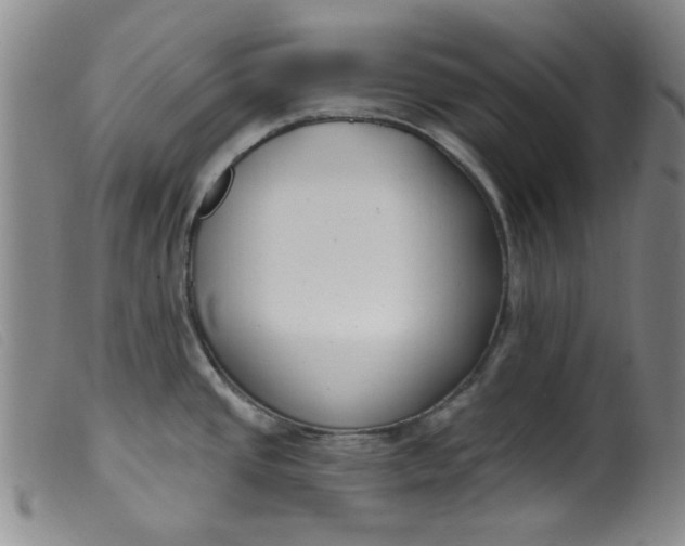 X0000099321437200805161350