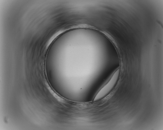 X0000099321438200805161350