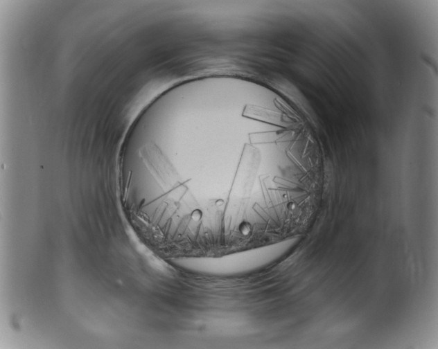 X0000099321439200805161350