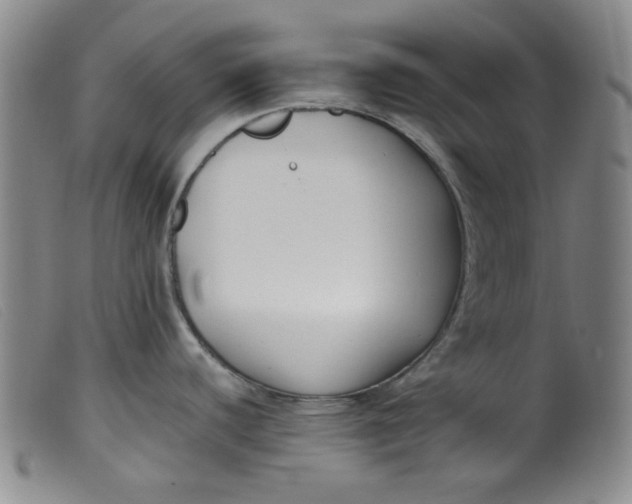 X0000099321440200805161350