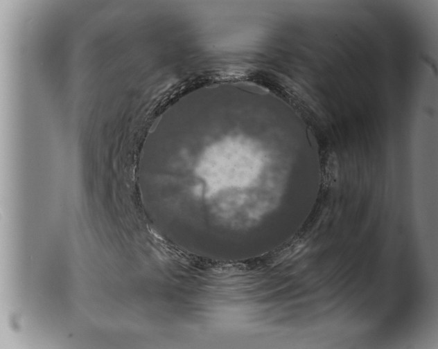 X0000099321441200805161349