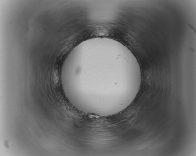 X0000099321442200805161349