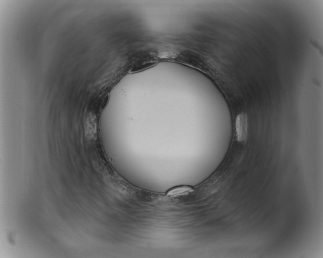 X0000099321443200805161349