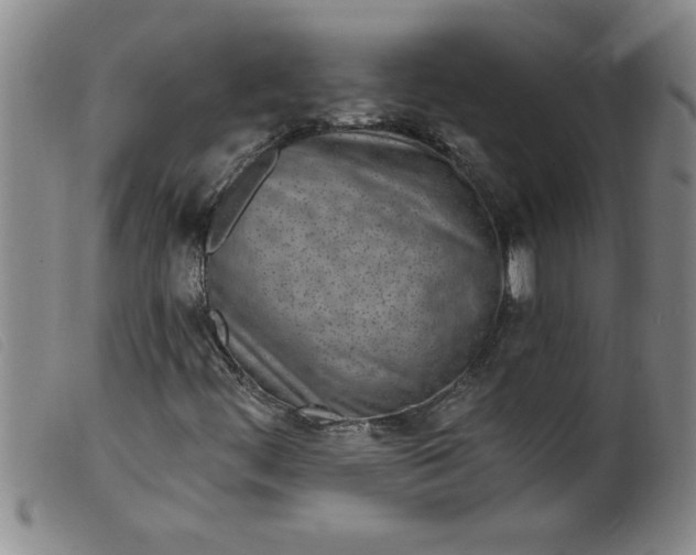 X0000099321444200805161349