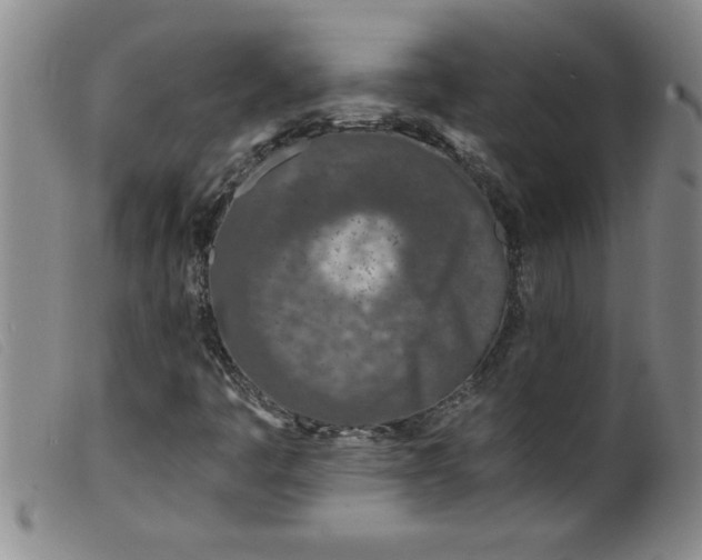 X0000099321445200805161349