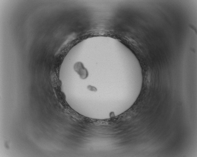 X0000099321446200805161349