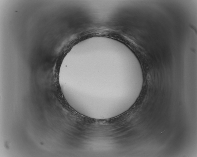 X0000099321447200805161349