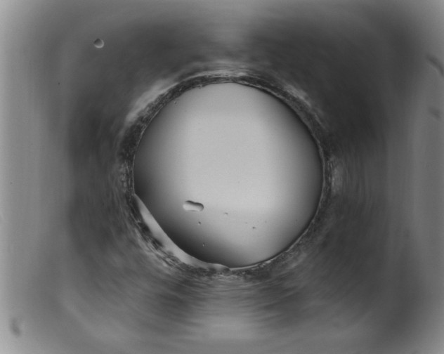 X0000099321448200805161349