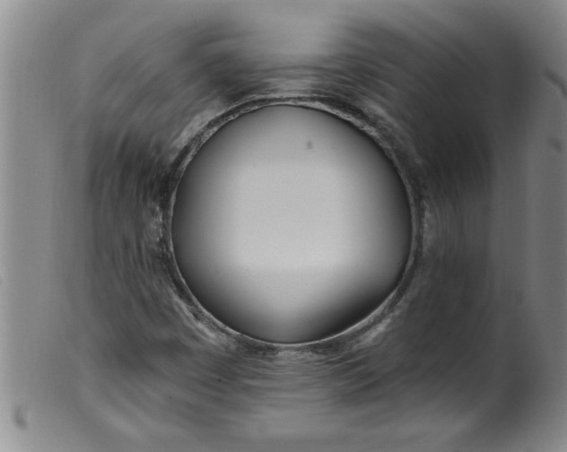 X0000099321449200805161349