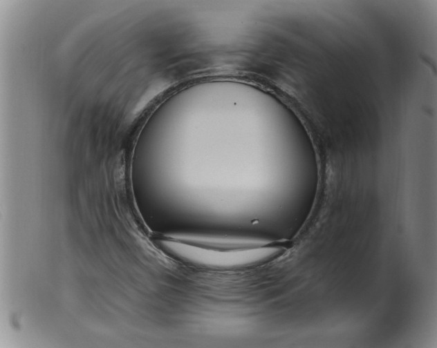 X0000099321450200805161349