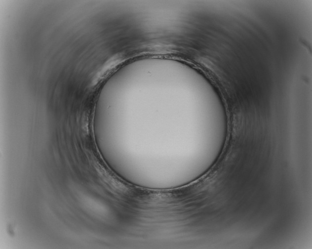 X0000099321451200805161349