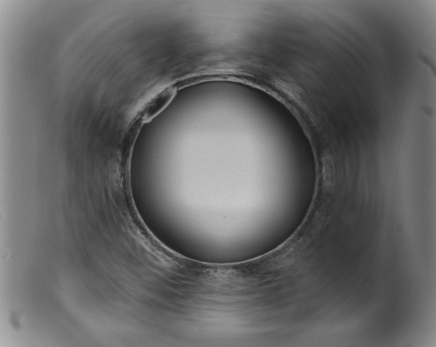 X0000099321452200805161349