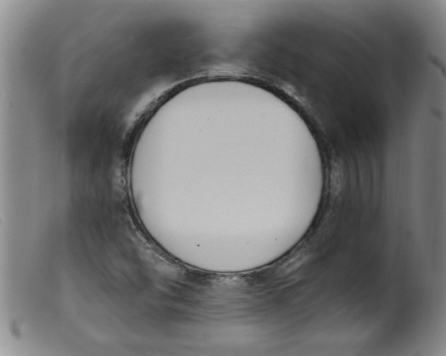 X0000099321454200805161349