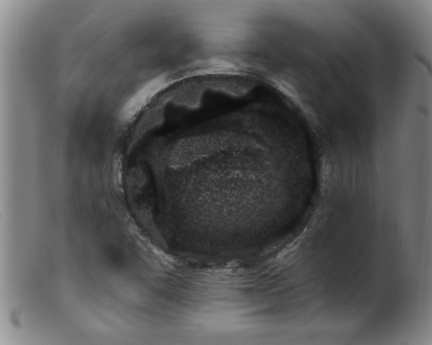 X0000099321455200805161349