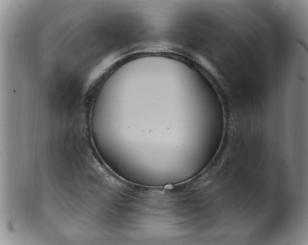 X0000099321456200805161349