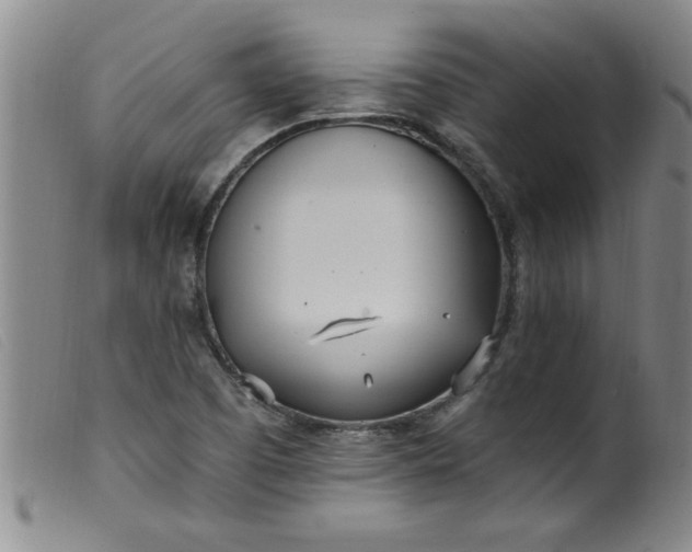 X0000099321457200805161349