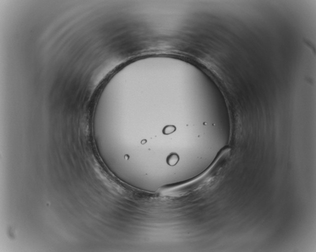 X0000099321458200805161349