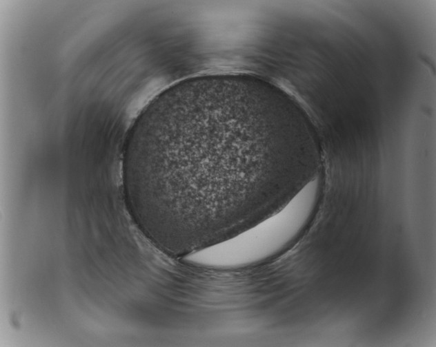 X0000099321459200805161349