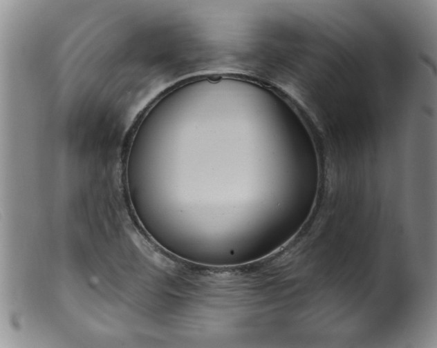 X0000099321460200805161349