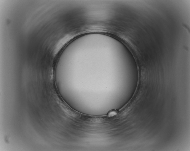 X0000099321461200805161349