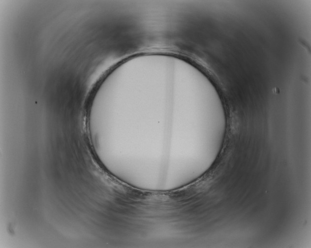 X0000099321462200805161349