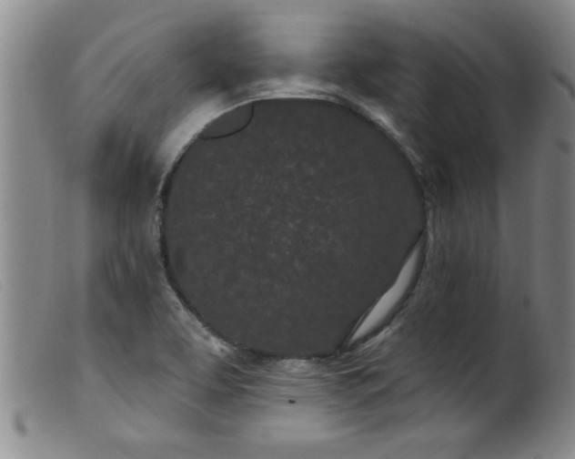 X0000099321463200805161349