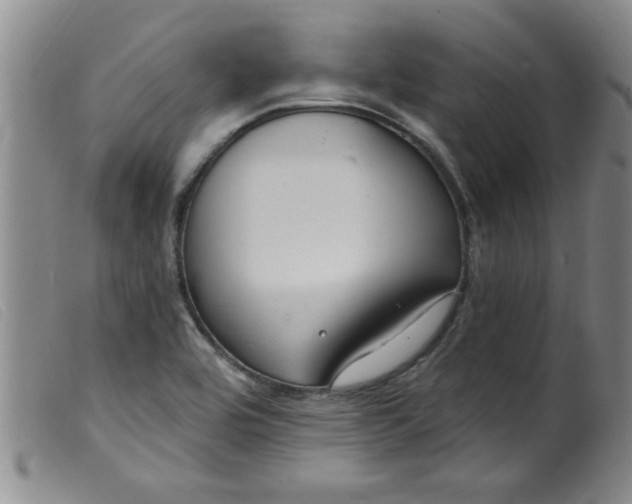 X0000099321464200805161349