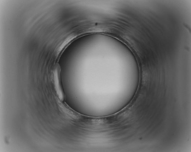 X0000099321465200805161349