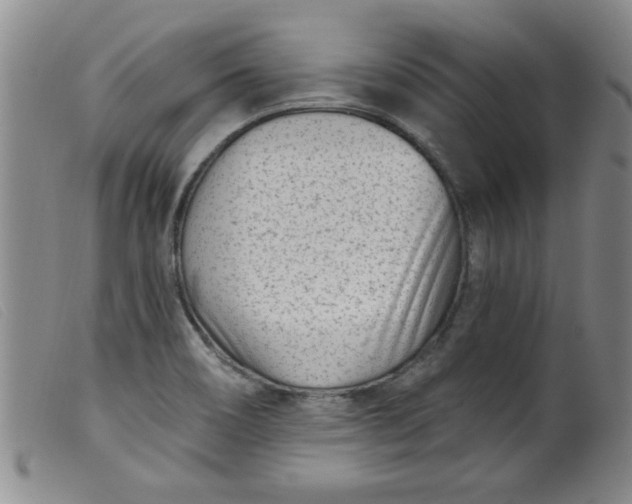 X0000099321466200805161349