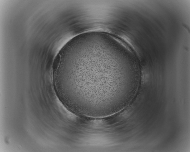 X0000099321468200805161349