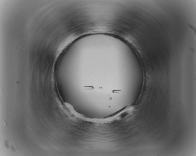 X0000099321469200805161349