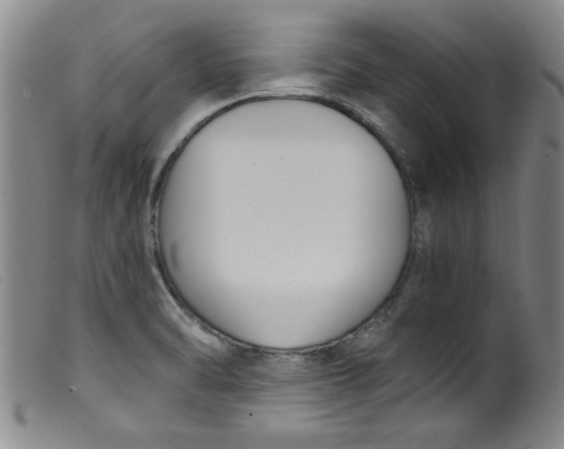 X0000099321470200805161349