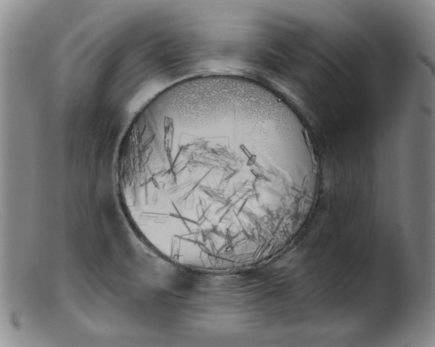 X0000099321471200805161349