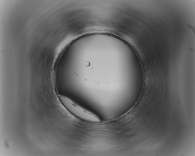 X0000099321472200805161349