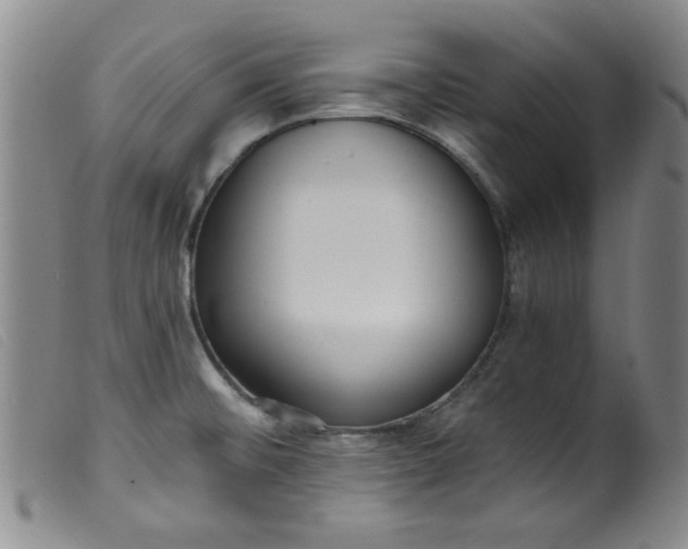 X0000099321476200805161349