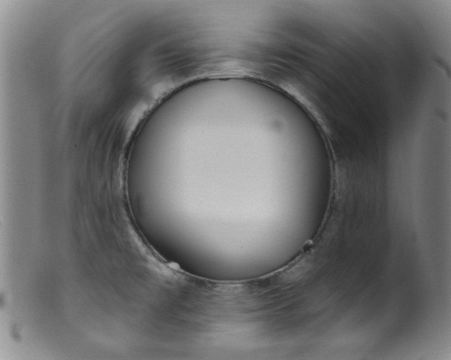 X0000099321477200805161348