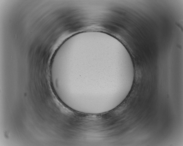 X0000099321478200805161348