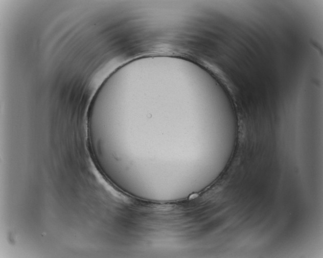 X0000099321479200805161348