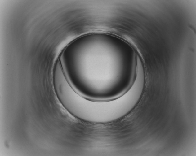 X0000099321480200805161348