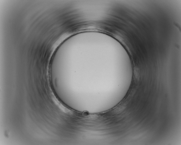 X0000099321482200805161348