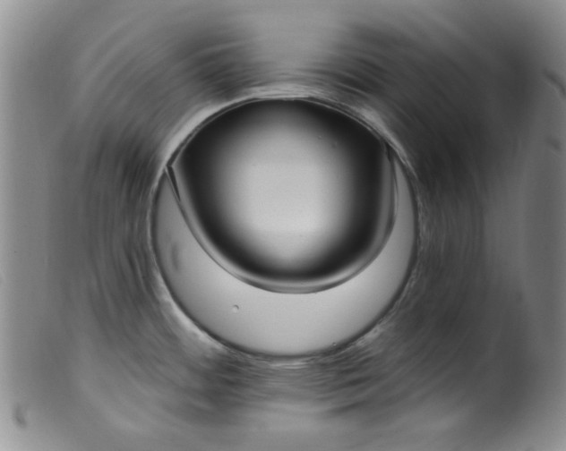 X0000099321484200805161348