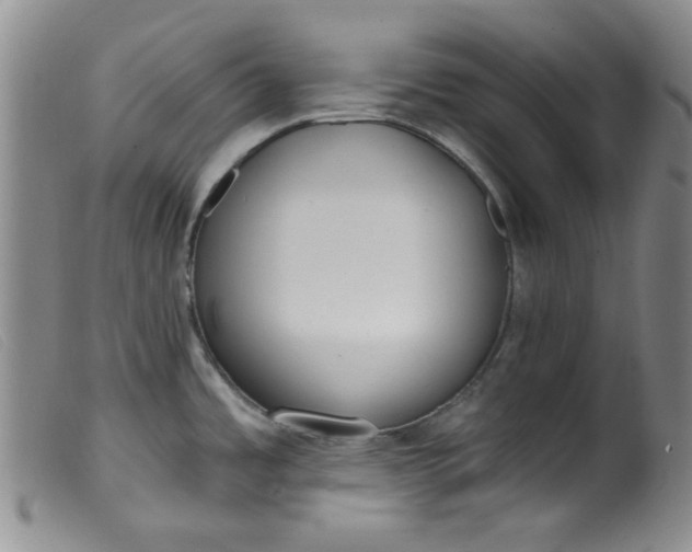 X0000099321485200805161348