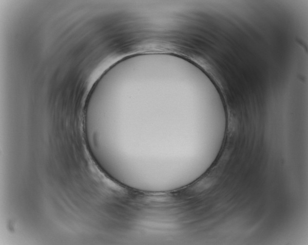 X0000099321486200805161348