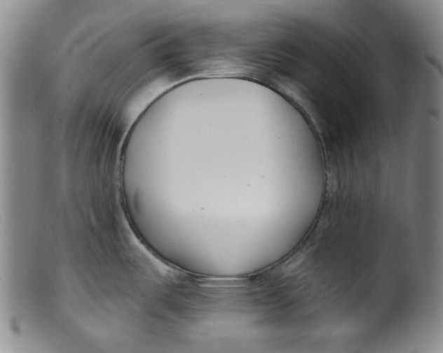 X0000099321487200805161348