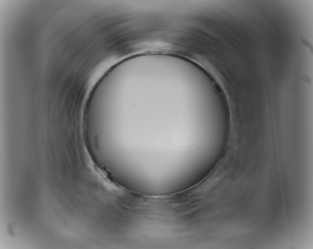 X0000099321488200805161348