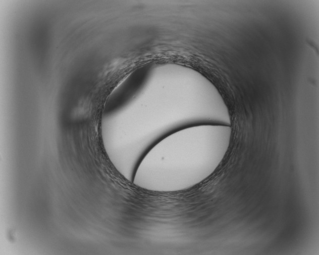 X0000099321489200805161347