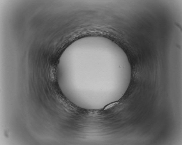 X0000099321490200805161347