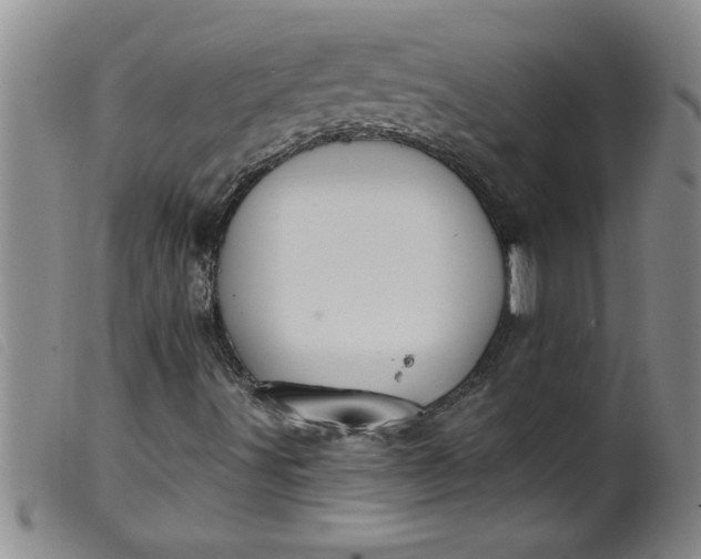 X0000099321491200805161347